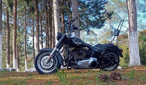 HARLEY-DAVIDSON SOFTAIL FAT BOY SPECIAL 