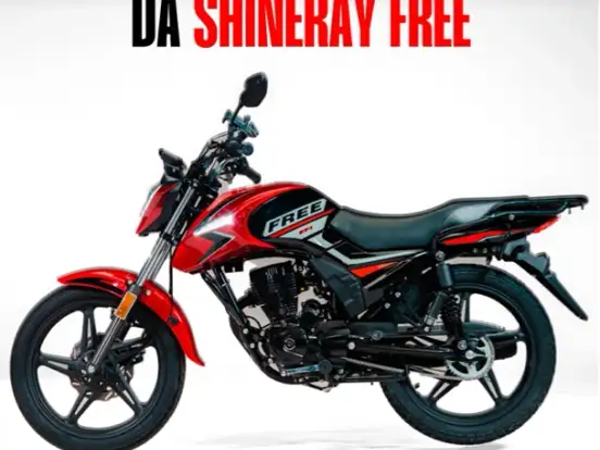 SHINERAY-FREE 150 SHINERAY-FREE 150-2025