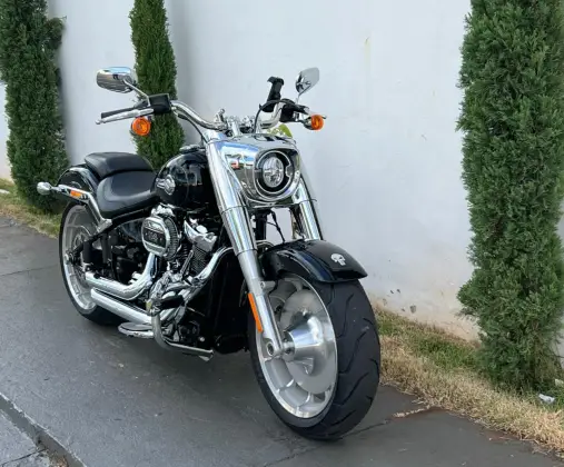 HARLEY-DAVIDSON SOFTAIL FAT BOY 114 