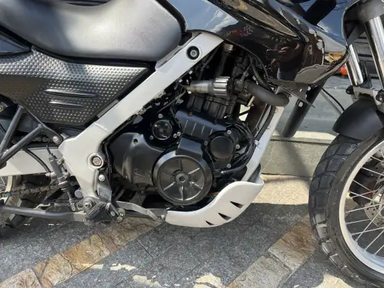 BMW-F 650 GS BMW-F 650 GS-2010