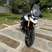 TRIUMPH TIGER 900 RALLY TRIUMPH TIGER 900 RALLY