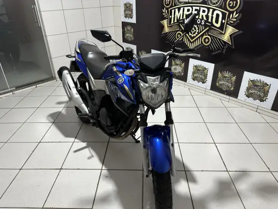 YAMAHA YS 250 FAZER BLUEFLEX 