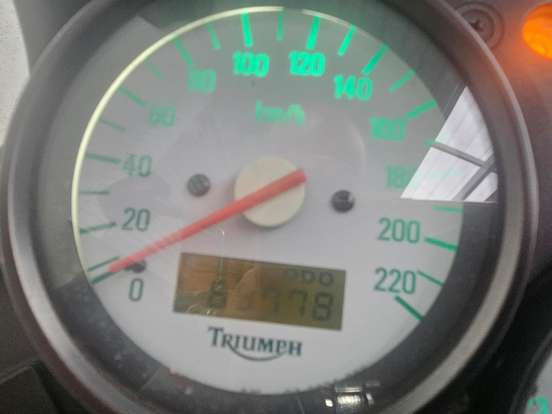 TRIUMPH-TIGER 900 TRIUMPH-TIGER 900-2000