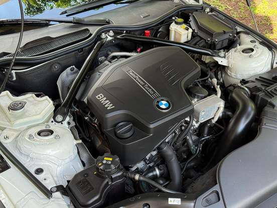 BMW-Z4-2.0 16V TURBO GASOLINA SDRIVE20I AUTOMÁTICO BMW-Z4-2016