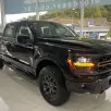 FORD F-150 5.0 V8 GASOLINA CD TREMOR FX4 AUTOMÁTICO FORD F-150 5.0 V8 GASOLINA CD TREMOR FX4 AUTOMÁTICO