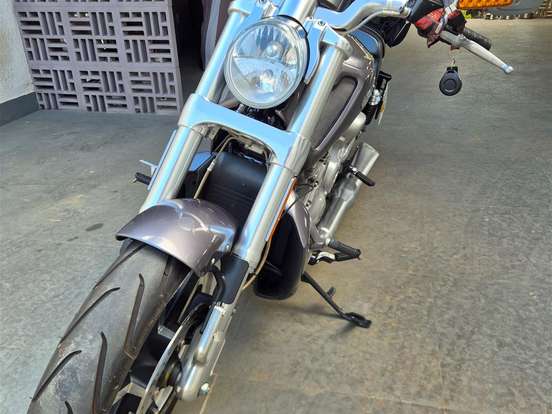 HARLEY-DAVIDSON-V-ROD MUSCLE HARLEY-DAVIDSON-V-ROD MUSCLE-2014