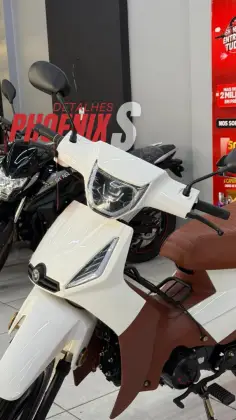 SHINERAY PHOENIX S 50 SHINERAY PHOENIX S 50