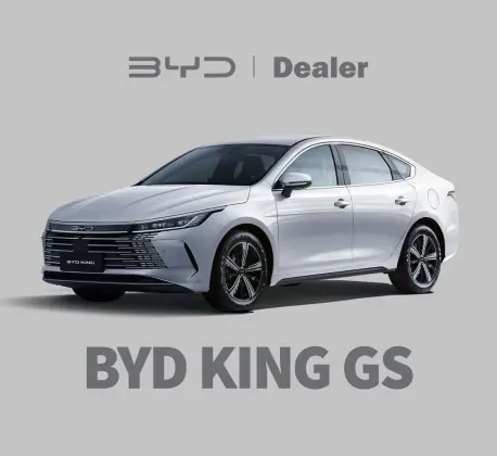 BYD KING 1.5 DM-I PHEV GS AUTOMÁTICO