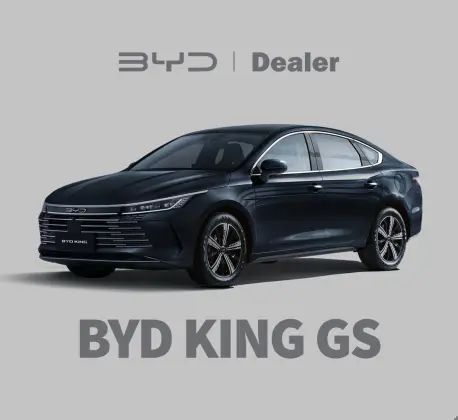BYD KING 1.5 DM-I PHEV GS AUTOMÁTICO
