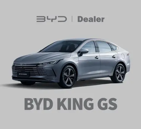 BYD KING 1.5 DM-I PHEV GS AUTOMÁTICO