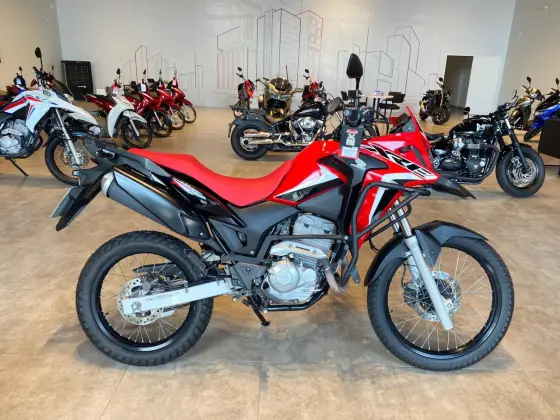 HONDA XRE 300 RALLY 
