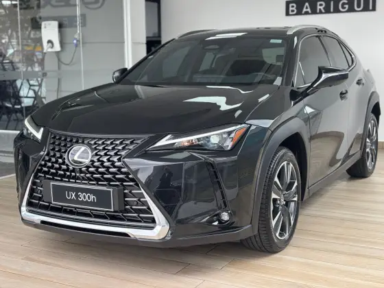 LEXUS UX 300h 2.0 VVT-I HYBRID CVT