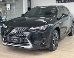 LEXUS UX 300h 2.0 VVT-I HYBRID CVT LEXUS UX 300h 2.0 VVT-I HYBRID CVT