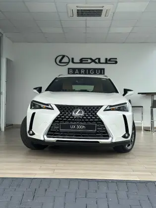 LEXUS UX 300h 2.0 VVT-I HYBRID CVT