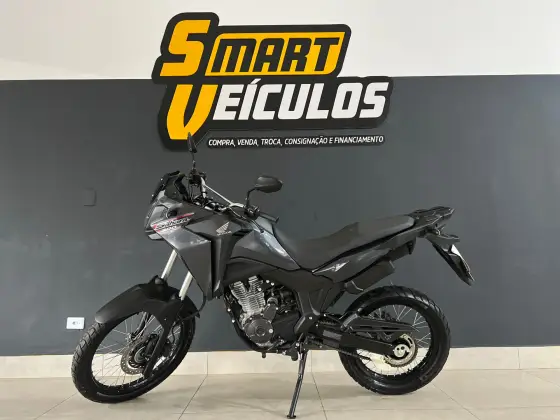 HONDA XRE 300 SAHARA 