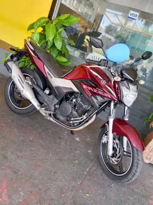 YAMAHA YS 250 FAZER BLUEFLEX 