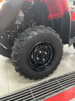 HONDA-TRX 420 FOURTRAX 4X4 HONDA-TRX 420 FOURTRAX 4X4-2025