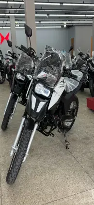 SHINERAY SHI 175 
