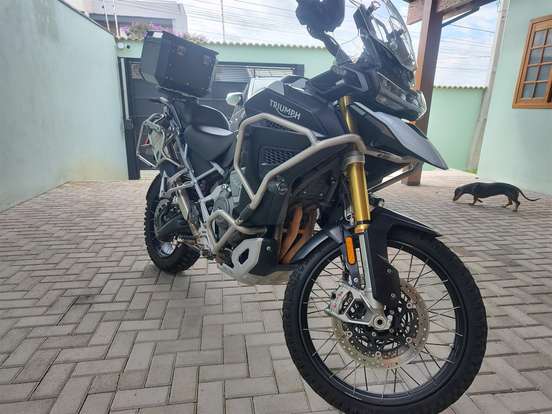 TRIUMPH-TIGER 1200 RALLY EXPLORER-2023