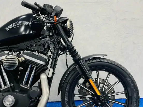 HARLEY-DAVIDSON-SPORTSTER IRON 883 HARLEY-DAVIDSON-SPORTSTER IRON 883-2015