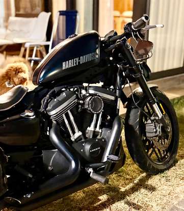 HARLEY-DAVIDSON-SPORTSTER ROADSTER-2016