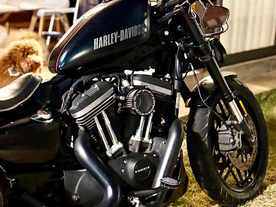 HARLEY-DAVIDSON-SPORTSTER ROADSTER HARLEY-DAVIDSON-SPORTSTER ROADSTER-2016