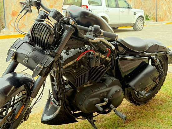 HARLEY-DAVIDSON-SPORTSTER ROADSTER HARLEY-DAVIDSON-SPORTSTER ROADSTER-2016