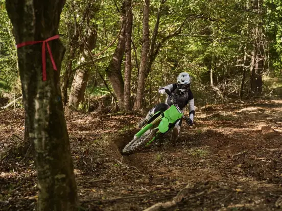 KAWASAKI-KX450X KAWASAKI-KX450X-2025