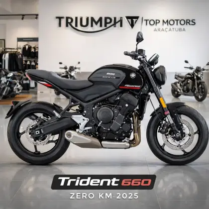 TRIUMPH TRIDENT 660 