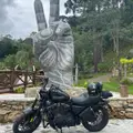 HARLEY-DAVIDSON SPORTSTER ROADSTER HARLEY-DAVIDSON SPORTSTER ROADSTER