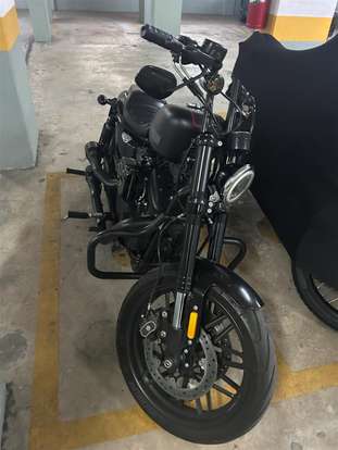 HARLEY-DAVIDSON-SPORTSTER ROADSTER-2017