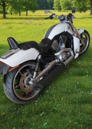 HARLEY-DAVIDSON-V-ROD MUSCLE HARLEY-DAVIDSON-V-ROD MUSCLE-2014