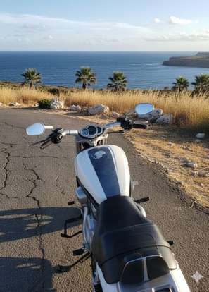HARLEY-DAVIDSON-V-ROD MUSCLE HARLEY-DAVIDSON-V-ROD MUSCLE-2014
