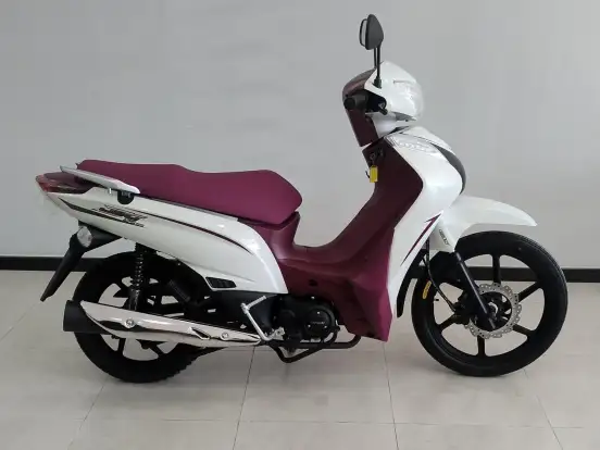 SHINERAY-JET 125 SS-2026