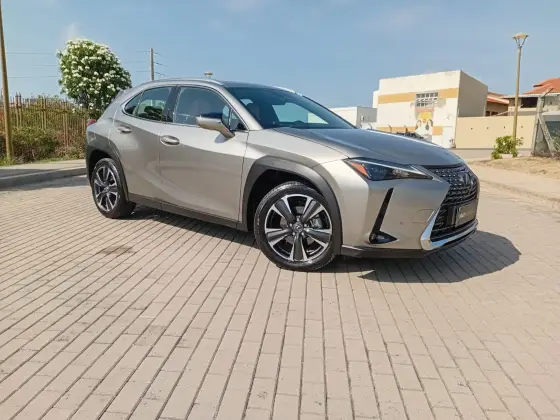 LEXUS UX 300h 2.0 VVT-I HYBRID CVT LEXUS UX 300h 2.0 VVT-I HYBRID CVT