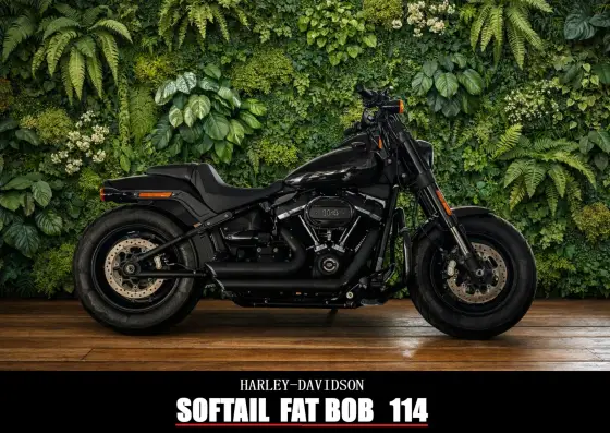 HARLEY-DAVIDSON SOFTAIL FAT BOB 114 