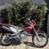 HONDA NX4 FALCON HONDA NX4 FALCON