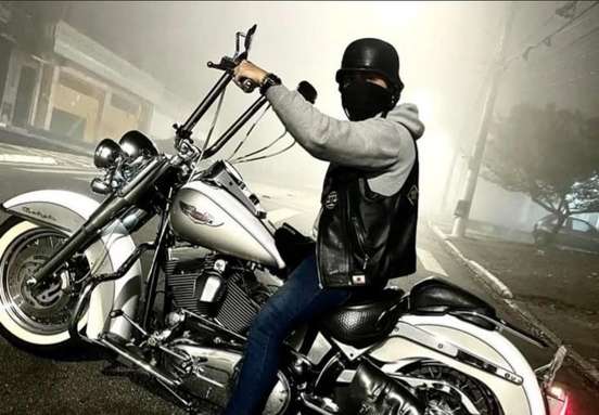 HARLEY-DAVIDSON-SOFTAIL DELUXE HARLEY-DAVIDSON-SOFTAIL DELUXE-2008