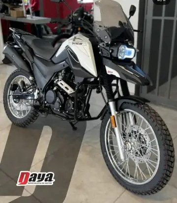 SHINERAY-SHI 175-2025