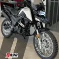 SHINERAY SHI 175 SHINERAY SHI 175
