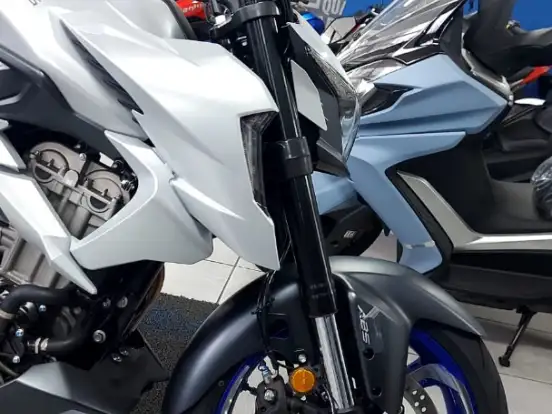 ZONTES-R350 ZONTES-R350-2025