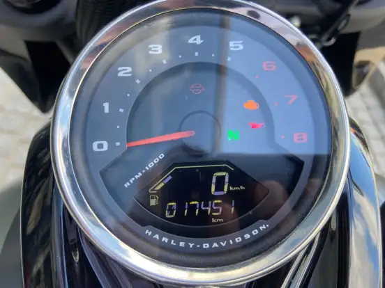 HARLEY-DAVIDSON-SOFTAIL FAT BOB 114 HARLEY-DAVIDSON-SOFTAIL FAT BOB 114-2021
