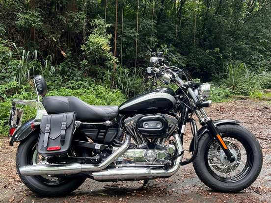 HARLEY-DAVIDSON-SPORTSTER 1200 CUSTOM HARLEY-DAVIDSON-SPORTSTER 1200 CUSTOM-2017