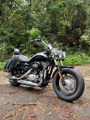 HARLEY-DAVIDSON-SPORTSTER 1200 CUSTOM-2017
