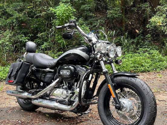 HARLEY-DAVIDSON-SPORTSTER 1200 CUSTOM HARLEY-DAVIDSON-SPORTSTER 1200 CUSTOM-2017