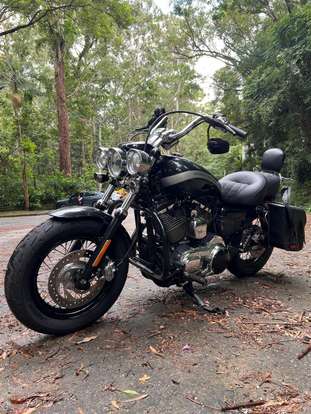 HARLEY-DAVIDSON-SPORTSTER 1200 CUSTOM-2017