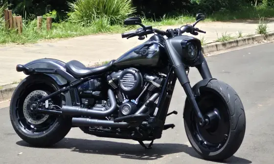 HARLEY-DAVIDSON SOFTAIL FAT BOY 