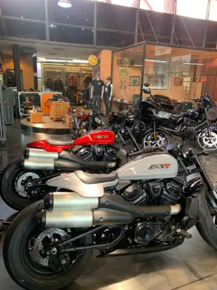 HARLEY-DAVIDSON-SPORTSTER S-2025