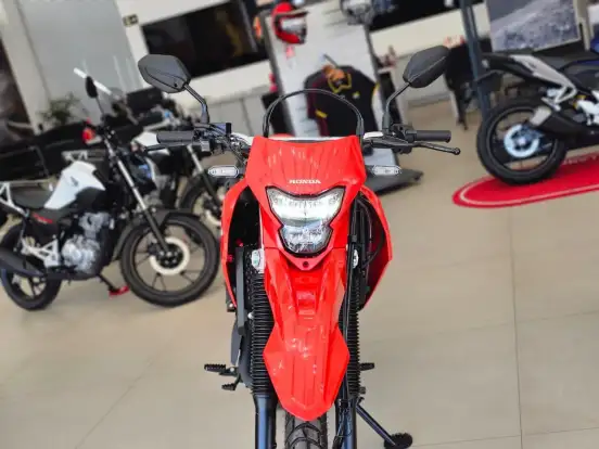 HONDA-XR 300L TORNADO HONDA-XR 300L TORNADO-2025
