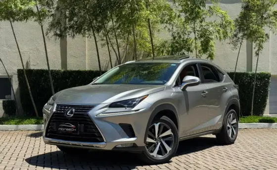 LEXUS NX 300 2.0 16V VVT-i TURBO GASOLINA LUXURY 6A/T AWD LEXUS NX 300 2.0 16V VVT-i TURBO GASOLINA LUXURY 6A/T AWD
